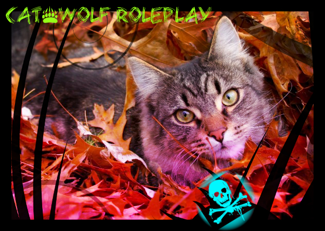 Wolf&Cat Roleplay